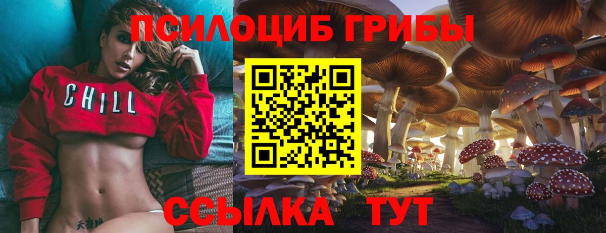 Кольчугино  купить закладку  Вход с VPN  Псилоцибиновые грибы мухоморы 