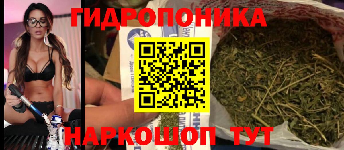 Марихуана OG Kush Кольчугино
